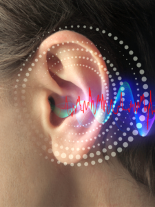Az emberi hallás - hogyan működik